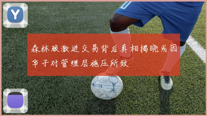 森林狼激进交易背后真相揭晓或因华子对管理层施压所致