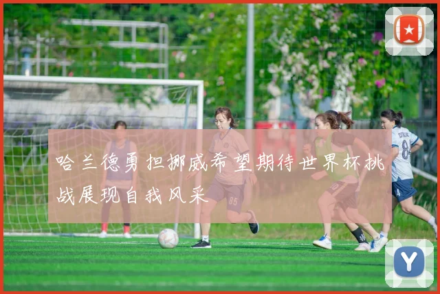 哈兰德勇担挪威希望期待世界杯挑战展现自我风采