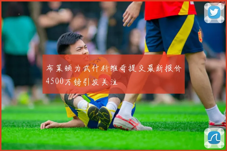 布莱顿为武什科维奇提交最新报价4500万镑引发关注